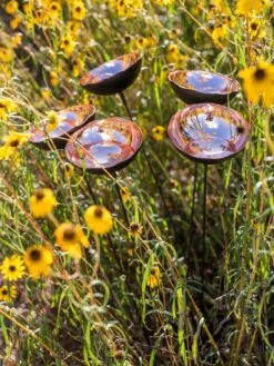 Outdoor Garden Care Shop -Outdoor Garden Care Shop 8613342 7913