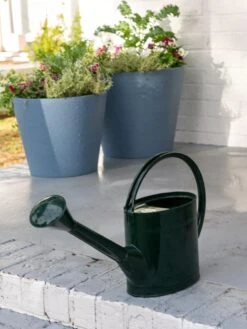 Long Reach Watering Can, Large 10 Long Reach Watering Can, Large -Outdoor Garden Care Shop 8613346 0142 long reach watering can large