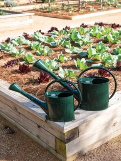 Long Reach Watering Can, Large 12 Long Reach Watering Can, Large -Outdoor Garden Care Shop 8613346 0148