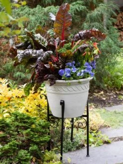 Covington Adjustable Plant Stands -Outdoor Garden Care Shop 8613348 0114