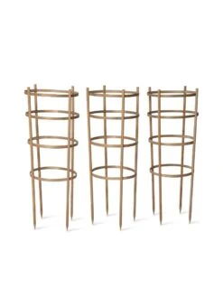 Bamboo Tomato Cages, Set Of 3 -Outdoor Garden Care Shop 8613426 4679 bamboo tomato cages 3