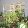 Bamboo Tomato Cages, Set Of 3 -Outdoor Garden Care Shop 8613426 7