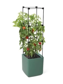 Oasis Self-Watering Tomato Planter With Trellis -Outdoor Garden Care Shop 8613440 06134