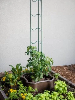 ECO Deluxe Tomato Halo, Set Of 2 -Outdoor Garden Care Shop 8613481 6594