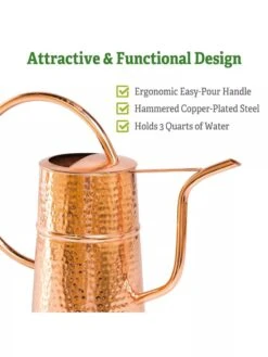 Copper Indoor Watering Can -Outdoor Garden Care Shop Copper Watering Can 1