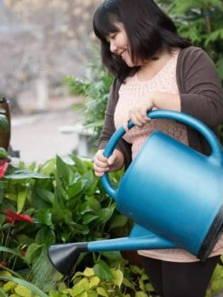French Blue Watering Can -Outdoor Garden Care Shop EmilyHoangSquare 0151 tif