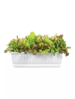 31" Self-Watering Window Box 7 31" Self-Watering Window Box -Outdoor Garden Care Shop GS36523 01Z 3 4