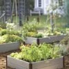 Sustainable Raised Beds -Outdoor Garden Care Shop GS38653 02 tif
