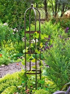 Jardin Bird Cage Support, 26" -Outdoor Garden Care Shop GS39529 01 tif