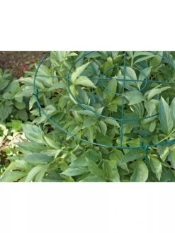 Grow Through Supports, Set Of 3 9 Grow Through Supports, Set Of 3 -Outdoor Garden Care Shop GS40172 01 1