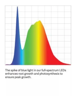 Bamboo LED Grow Light Garden For Succulents And Seeds -Outdoor Garden Care Shop LED ColorSpectrum grid PDP 3